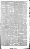 Halifax Courier Saturday 24 March 1877 Page 5