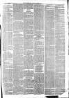 Leicester Mail Saturday 20 March 1869 Page 7