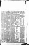 Leicester Mail Wednesday 30 June 1869 Page 3