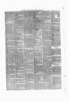 South Eastern Gazette Monday 03 May 1875 Page 5