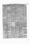 South Eastern Gazette Monday 24 May 1875 Page 5