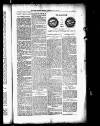 South Eastern Gazette Saturday 29 January 1910 Page 3