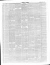 Whitby Gazette Saturday 25 July 1868 Page 2