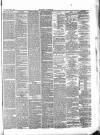 Whitby Gazette Saturday 06 March 1886 Page 3