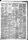 Derry Journal Wednesday 04 February 1880 Page 3