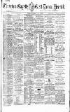 Tiverton Gazette (Mid-Devon Gazette) Tuesday 03 July 1866 Page 1