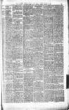 Tiverton Gazette (Mid-Devon Gazette) Tuesday 14 March 1876 Page 3