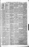 Tiverton Gazette (Mid-Devon Gazette) Tuesday 21 March 1876 Page 3