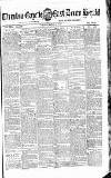Tiverton Gazette (Mid-Devon Gazette) Tuesday 18 March 1879 Page 1