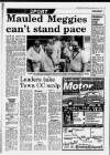 Grimsby Daily Telegraph Monday 08 June 1992 Page 21
