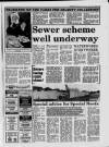 Grimsby Daily Telegraph Monday 25 January 1993 Page 17