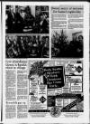 Grimsby Daily Telegraph Monday 04 October 1993 Page 13