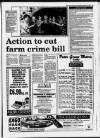 Grimsby Daily Telegraph Friday 15 October 1993 Page 13