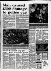 Grimsby Daily Telegraph Monday 27 December 1993 Page 17