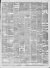 Lincolnshire Free Press Tuesday 11 June 1878 Page 3