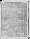 Lincolnshire Free Press Tuesday 22 July 1879 Page 3