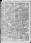 Lincolnshire Free Press Tuesday 29 July 1879 Page 3