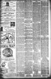 Lincolnshire Free Press Tuesday 03 December 1895 Page 3