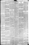 Lincolnshire Free Press Tuesday 05 January 1897 Page 5