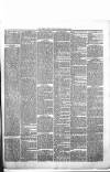 Derry Journal Friday 18 June 1880 Page 7