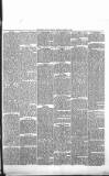 Derry Journal Friday 08 October 1880 Page 7