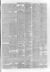 Derry Journal Friday 07 May 1886 Page 5