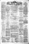 Derry Journal Wednesday 18 January 1893 Page 1