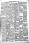 Derry Journal Friday 09 June 1893 Page 5