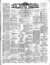 Derry Journal Monday 08 January 1894 Page 1