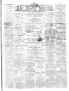 Derry Journal Monday 29 April 1895 Page 1