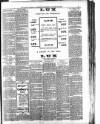 Derry Journal Wednesday 28 January 1903 Page 7