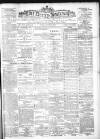 Derry Journal Friday 24 March 1905 Page 1