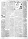 Derry Journal Friday 17 November 1905 Page 3