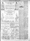 Derry Journal Friday 11 January 1907 Page 5