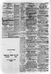 Derry Journal Friday 12 February 1965 Page 13