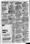 Derry Journal Friday 20 August 1965 Page 13