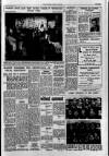 Derry Journal Friday 23 June 1967 Page 11