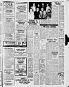 Derry Journal Friday 04 February 1977 Page 19