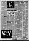 Derry Journal Friday 30 November 1979 Page 31