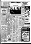 Derry Journal Friday 25 January 1980 Page 11