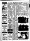 Derry Journal Friday 28 November 1980 Page 31