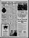 Derry Journal Friday 29 May 1981 Page 11