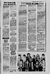 Derry Journal Tuesday 27 October 1981 Page 15