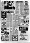 Derry Journal Friday 04 February 1983 Page 11