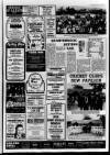 Derry Journal Friday 03 June 1983 Page 11