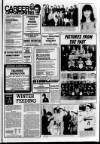 Derry Journal Friday 09 December 1983 Page 17