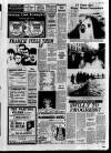 Derry Journal Friday 09 January 1987 Page 13