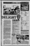 Derry Journal Tuesday 19 September 1989 Page 31