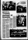 Derry Journal Tuesday 29 December 1992 Page 29