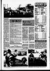 Derry Journal Tuesday 05 January 1993 Page 35